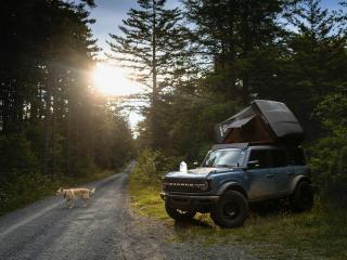 Eco-Friendly Driving Tips to Reduce Your Carbon Footprint